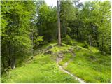 Erjavčev rovt - Planina Dovška Rožca